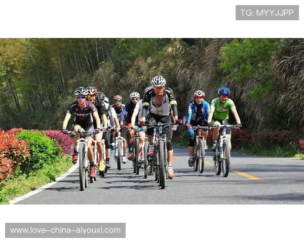 自行车队训练被网友拍成“速度大片”